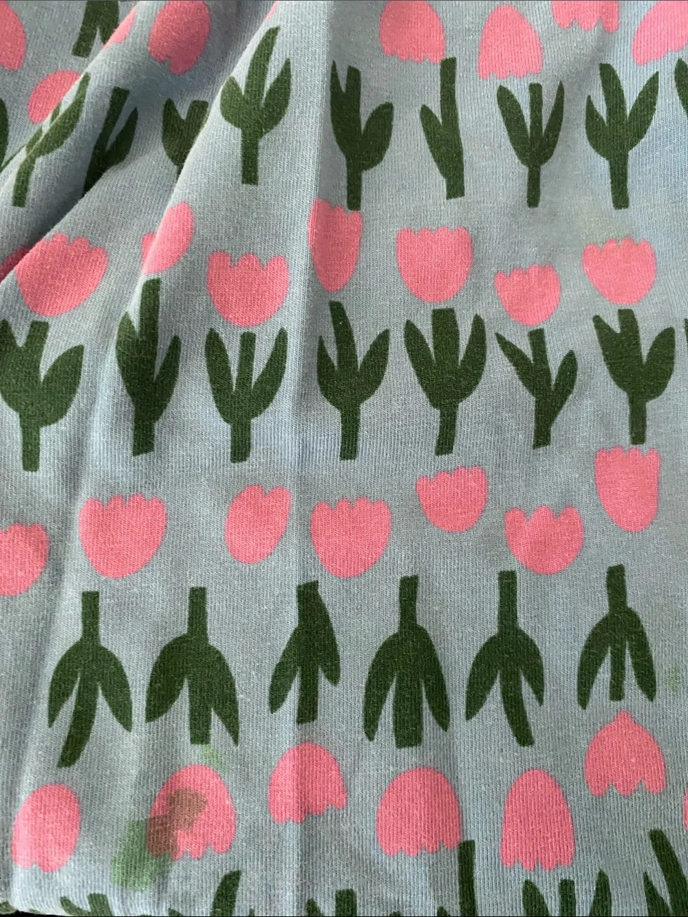Hanna Andersson Blue Dress with Pink & Green Tulip Print